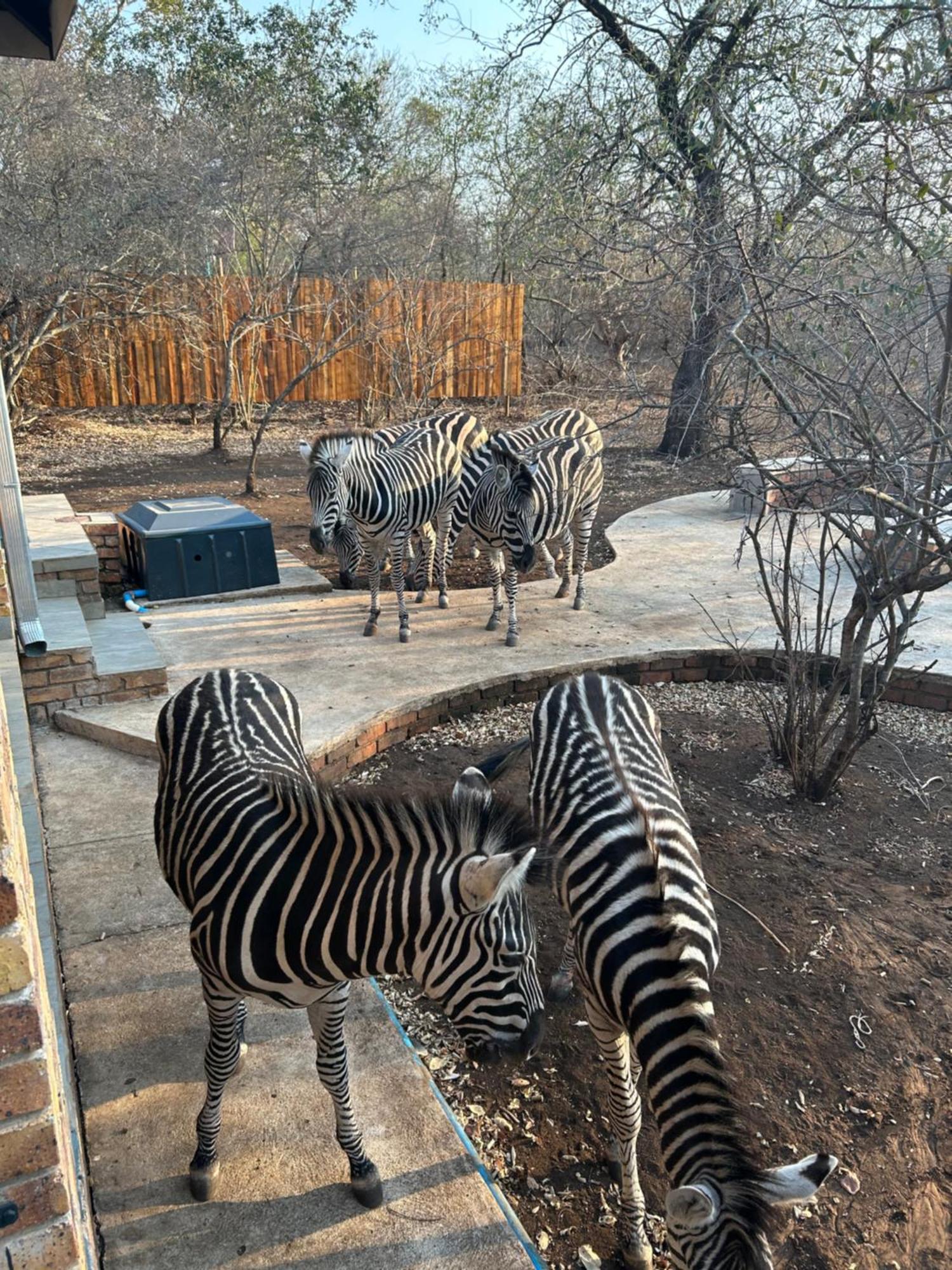Shades Of Nature * Marloth Park