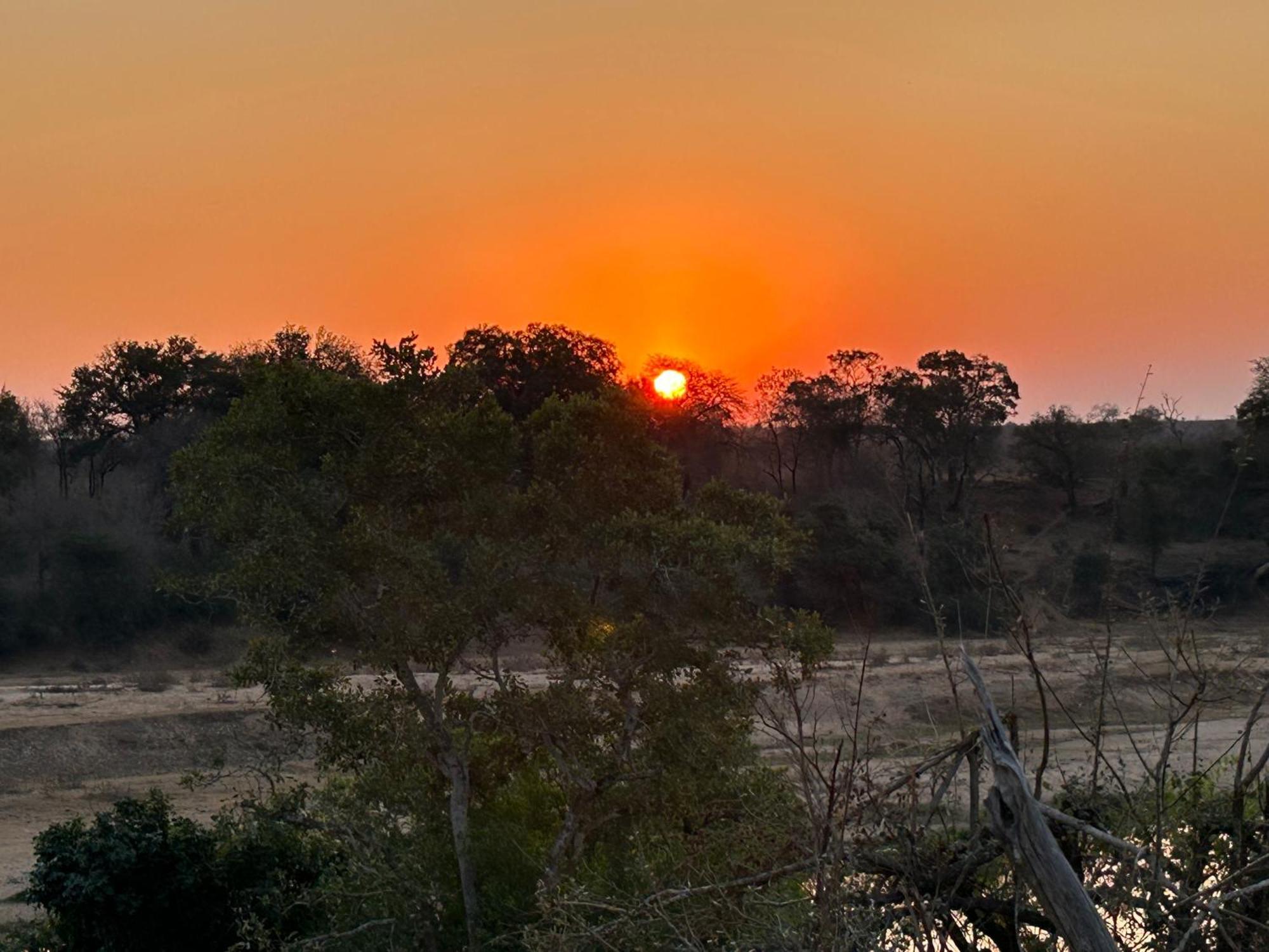 Shades Of Nature * Marloth Park